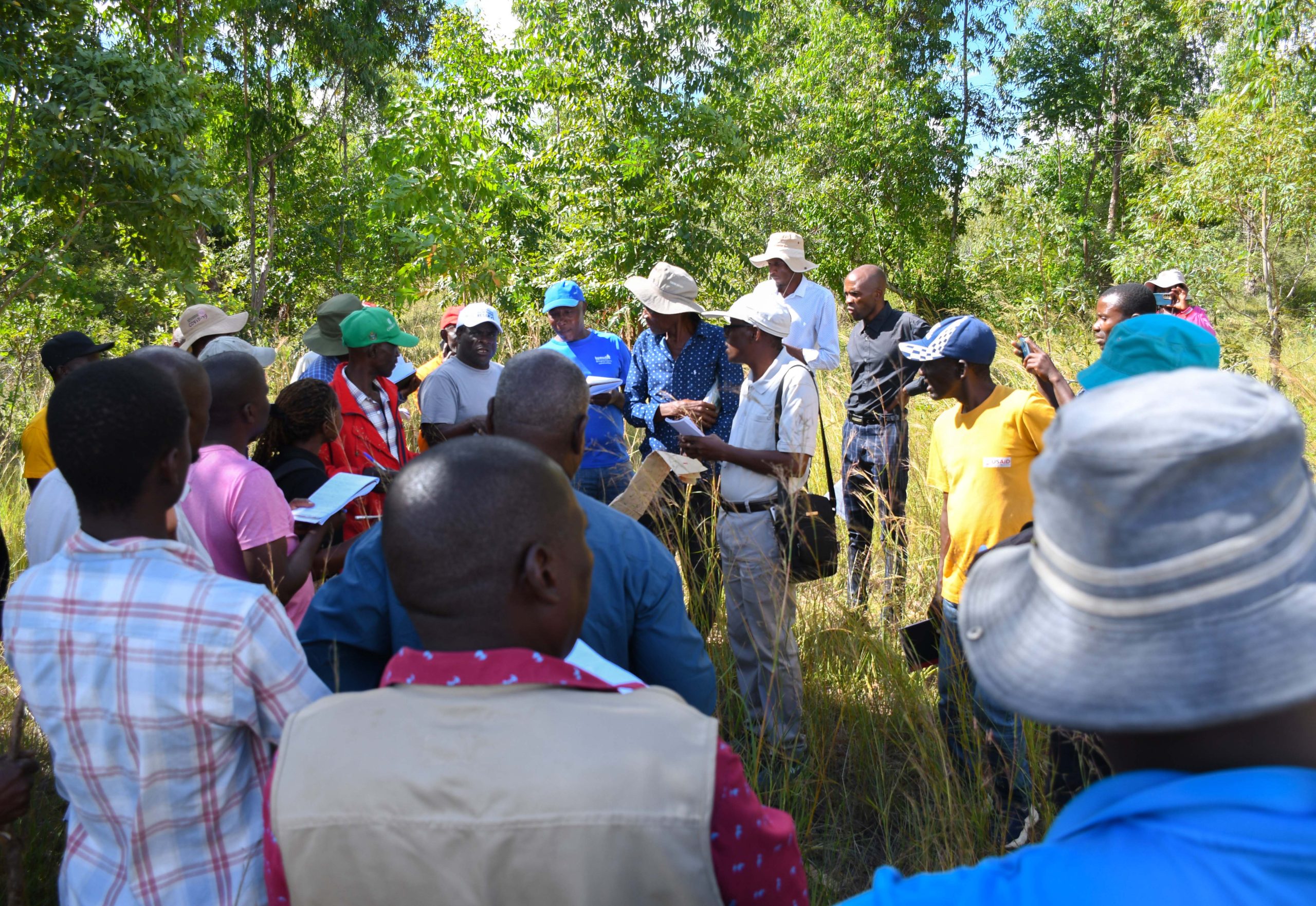 Holistic land and livestock management catapults farmers to resilience